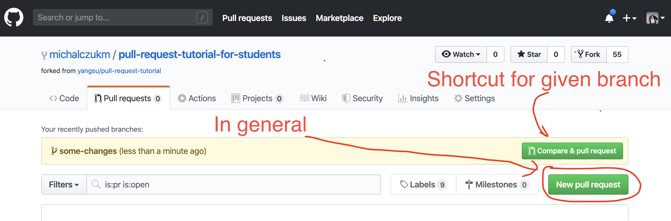 Pull Request Button